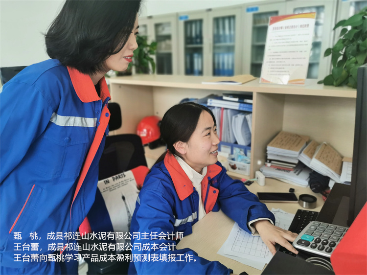 甄桃  王台蕾  成县祁连山尊龙中国官网官方网站有限公司  成本会计王台蕾向主任会计师甄桃学习产品成本盈利预测表填报工作.jpg