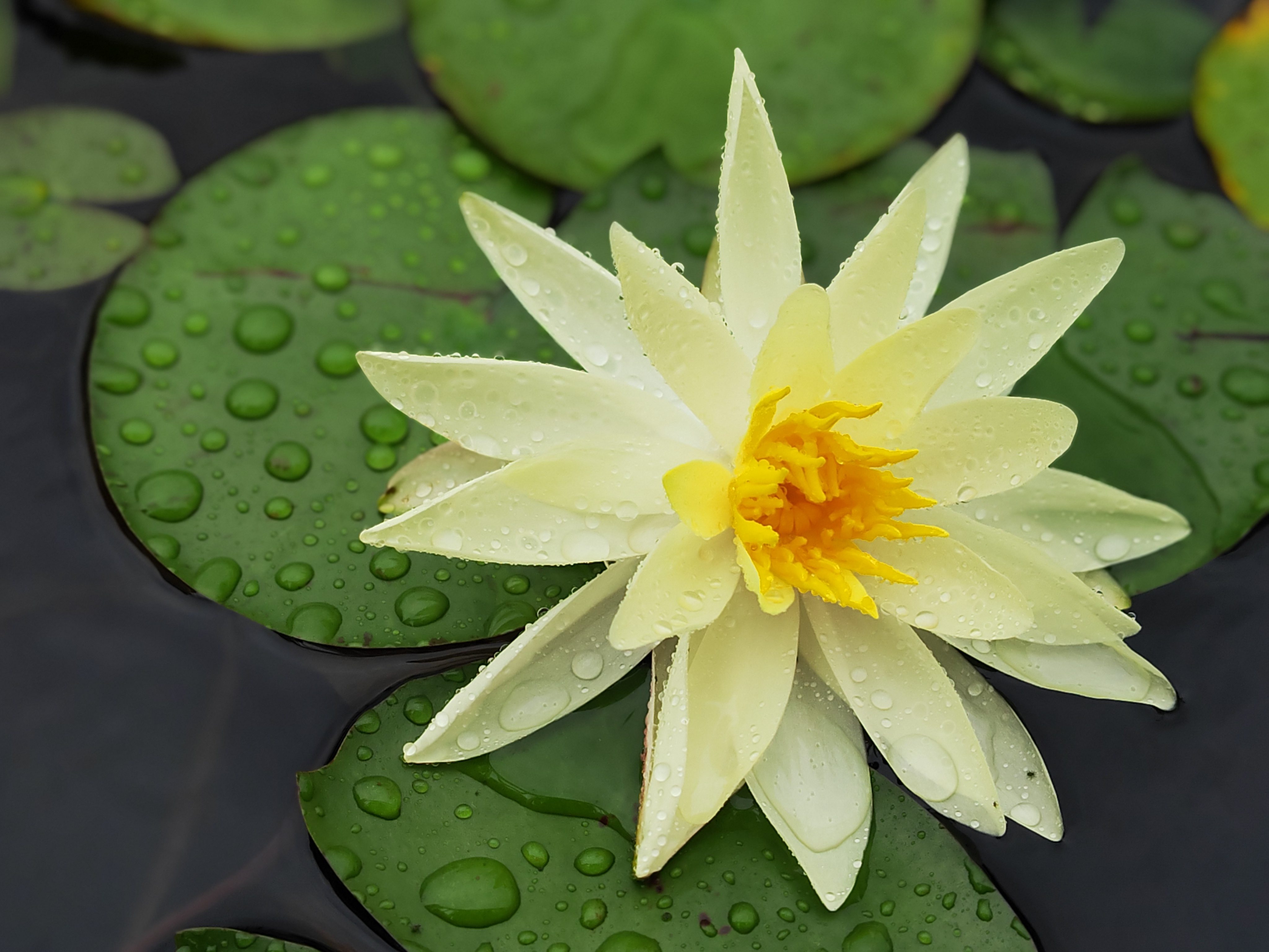 文县公司1号 已发(1).jpg